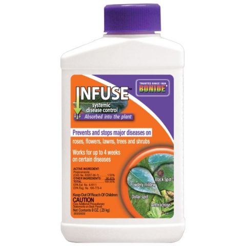 Bonide Infuse Systemic Disease Control Fungicide