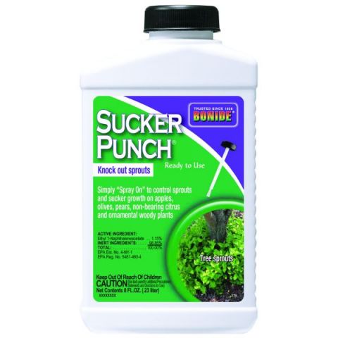Bonide Sucker Punch RTU Brush Top
