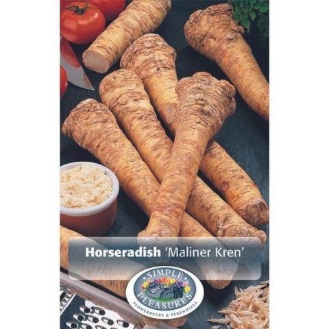 Maliner Kren Horseradish