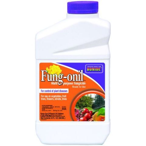 Bonide Fung-Onil Fungicide Concentrate