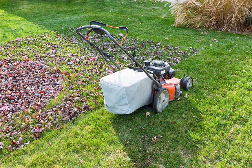 4 easy lawn care tips for fall