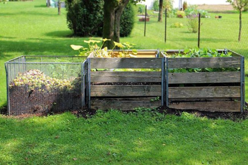  All You Need to Know About Composting