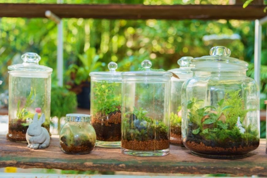 Why to Turn Your Home Around with a Terrarium