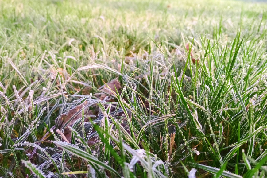 How Do You Keep Your Lawn Healthy In Colder Weather?