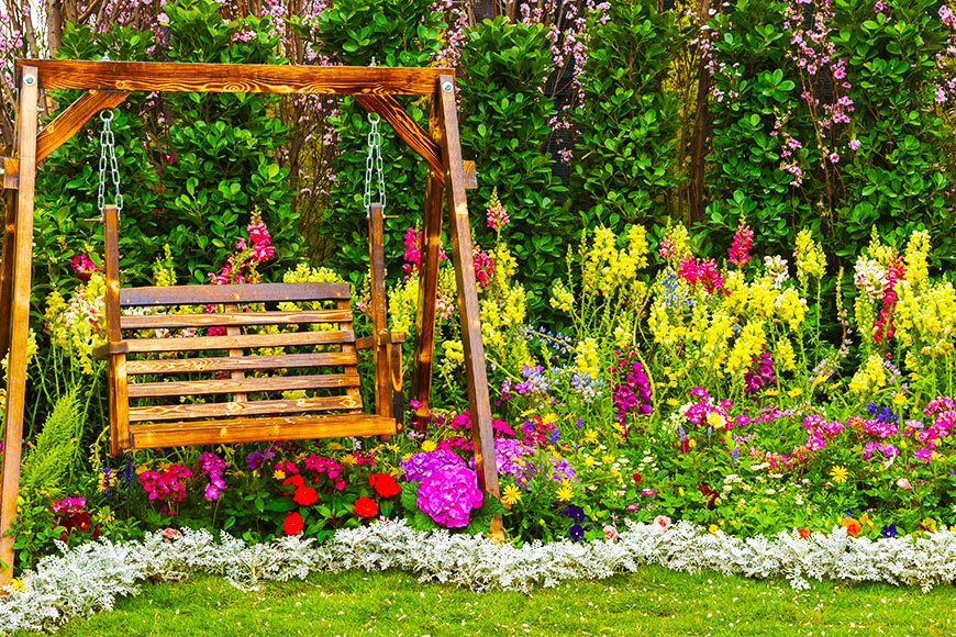 Top Easy-to-Grow & Hardy Flowers for the Garden