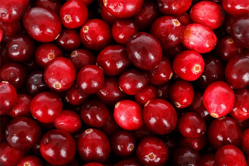 Start a Homegrown Cranberry Garden Holiday Tradition
