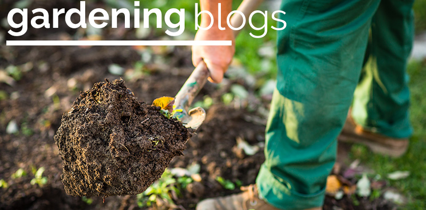 Gardening Blogs Category Image